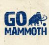 go.mammoth : Sports Partner